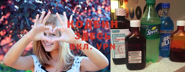 метадон Алексин