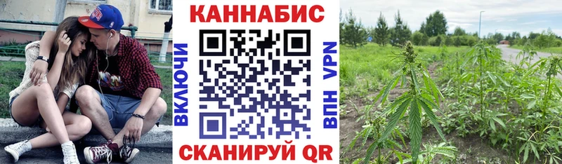цена наркотик  Миньяр  Каннабис MAZAR 